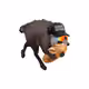 Jimothy #1636