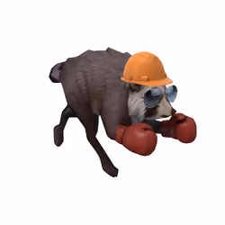 2626