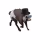 1429