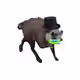 2263