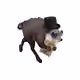 1559