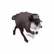 2852