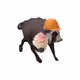 2264