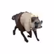 1056