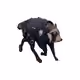 2368