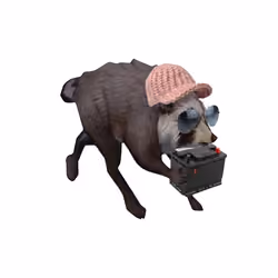 Item Media