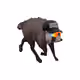 2213