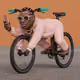 36