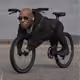 1074