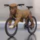 1663