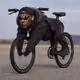2857