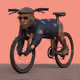 BIKE TYSON #2705