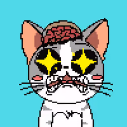 Purr #365