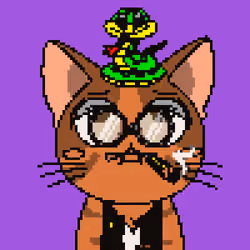 Purr #362