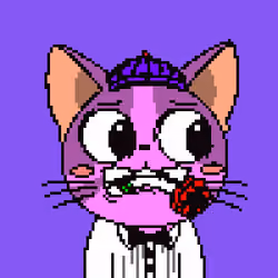 Purr #1353