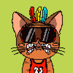 Purr #15