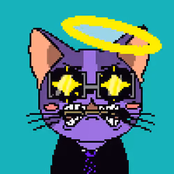 Purr #11