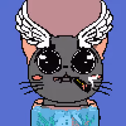 Purr #632