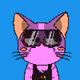 Purr #1305