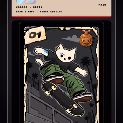 SKATER CAT