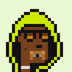 Robin Hoodie #2377