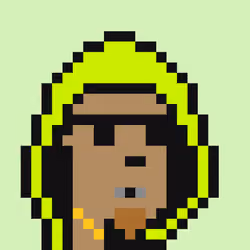 Robin Hoodie #2995