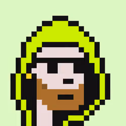 Robin Hoodie #2582