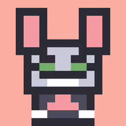 Robinhood Rabbitz #343
