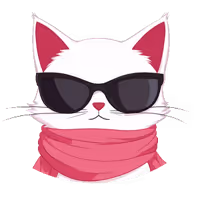 SNAT