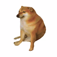 CHEEMS