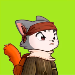 The Racoonz