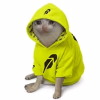 HOOD