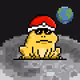 Toad 2579
