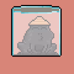 Toad 2893