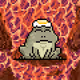 Toad 1262