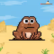 Toad 2026