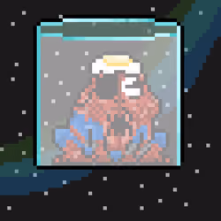 Toad 2024