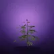 Weed Hood #3988