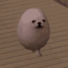 EGGDOG