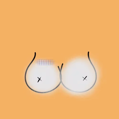 b00bs #3366