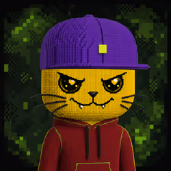 HOODAI #3236