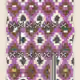 Rug #2627