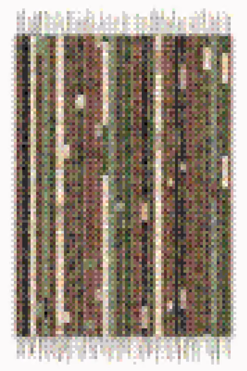 Item #3676 Media