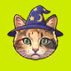 2644