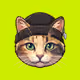 Arrow Cats #762