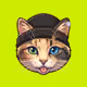 Arrow Cats #837