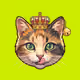2729