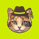 3100