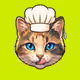 Arrow Cats #763