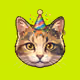Arrow Cats #2795